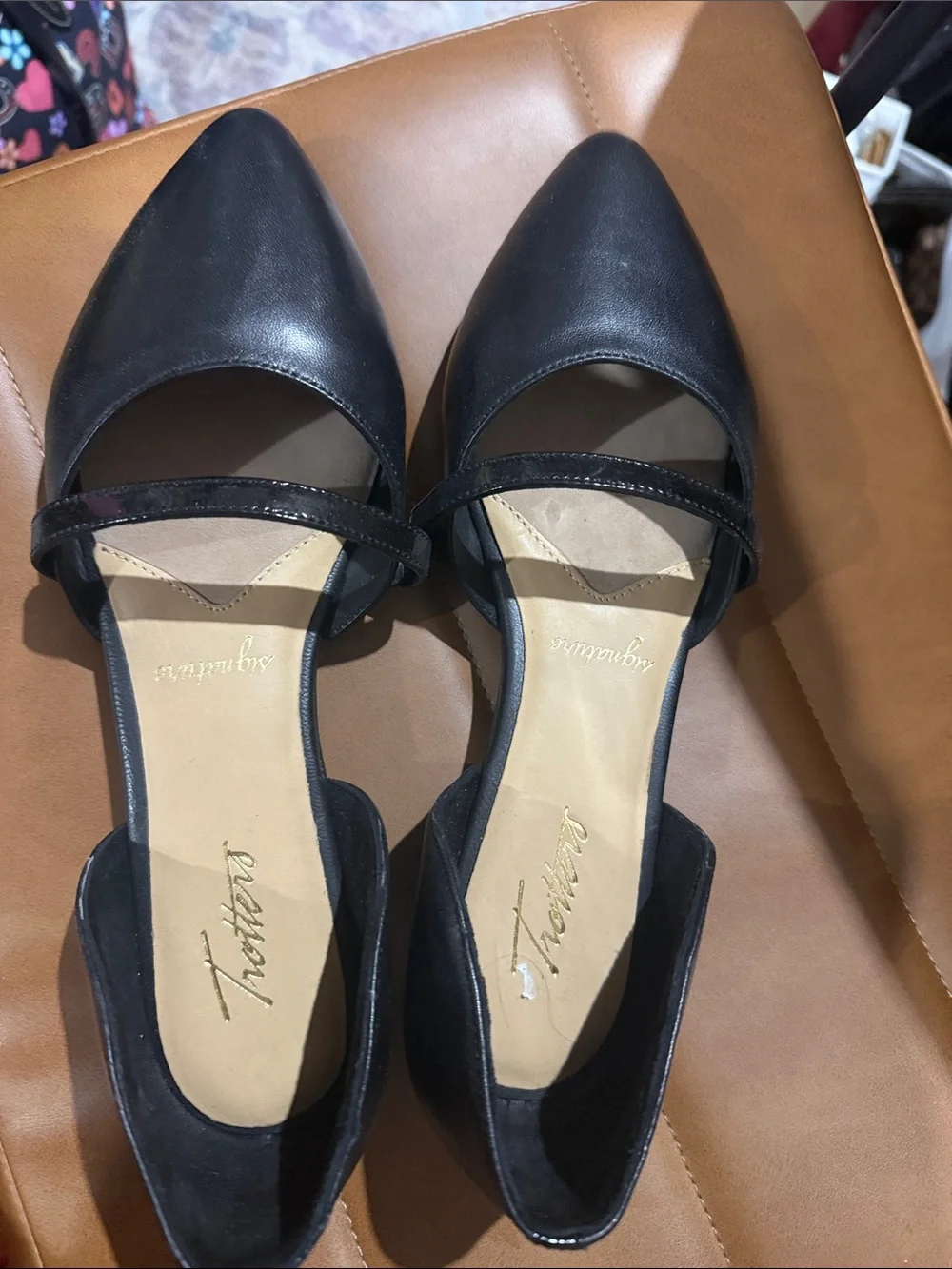 Trotters elegant pointed